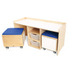 Whitney Brothers STEM Activity Desk And Mobile Bin Set