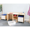 Whitney Brothers STEM Activity Desk And Mobile Bin Set