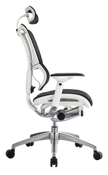 Eurotech iOO - All Mesh and Fabric/Mesh Combo Chair