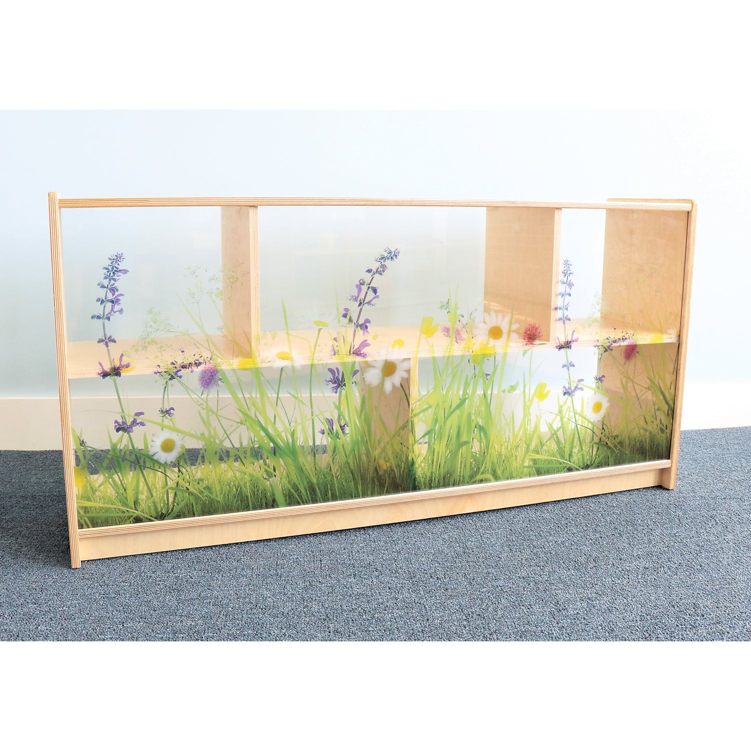 Whitney Brothers Nature View Acrylic Back Cabinet 24H