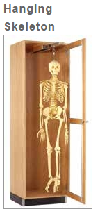 Diversified Woodcrafts Hanging Skeleton Cabinet - 24