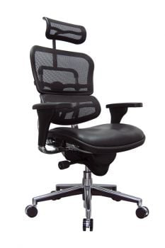 Eurotech ErgoHuman Mid Back Leather Seat & Mesh Back