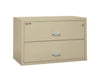 Fireking 2 Drawer Lateral Fireproof File Cabinet (44" wide) Free Freight 6+