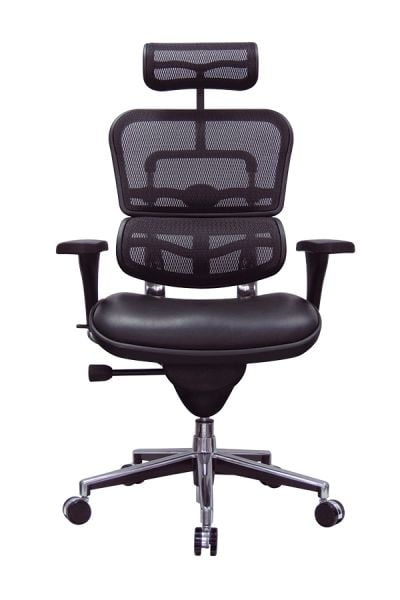 Eurotech ErgoHuman Mid Back Leather Seat & Mesh Back